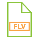 archivo flv icon