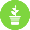 planta icon