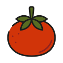 tomate icon