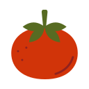 tomate icon