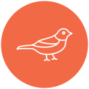 pájaro icon