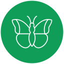 mariposa icon