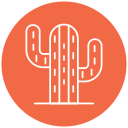 cactus icon