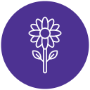 girasol icon