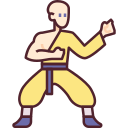 kung fu icon