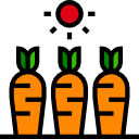 zanahorias icon