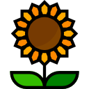 girasol icon