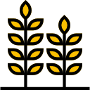 trigo icon