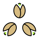 pistacho icon