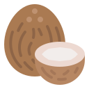 coco icon