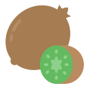 kiwi icon