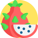 dragon de fruta icon