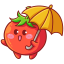 Tomato icon