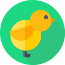 pollo icon