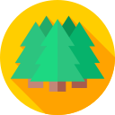 bosque icon