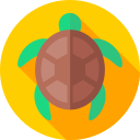 tortuga icon