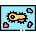 bacterias icon