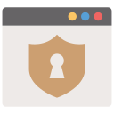 seguridad web icon