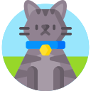 gato icon