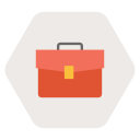 portafolio icon