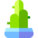 cactus icon