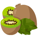 kiwi icon