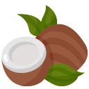 coco icon