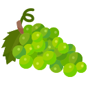 uvas icon