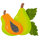 papaya icon