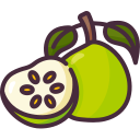 guayaba