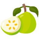 guayaba 