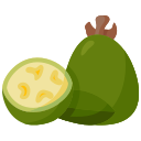 feijoa icon