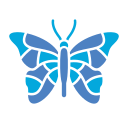 mariposa icon