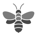 abeja icon