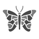 mariposa icon