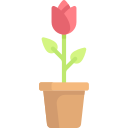 fleur 