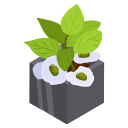 pot de fleur 
