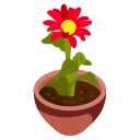 pot de fleur 