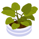 pot de fleur 