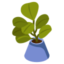 pot de fleur 