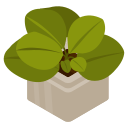 maceta icon