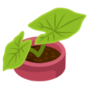pot de fleur 