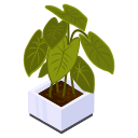 pot de fleur 