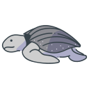 Tortugas icon