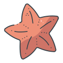 estrella de mar icon