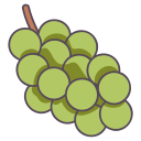 fruta icon