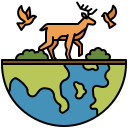 wild animals icon