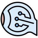 ojo icon