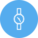 reloj icon