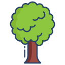 Árbol